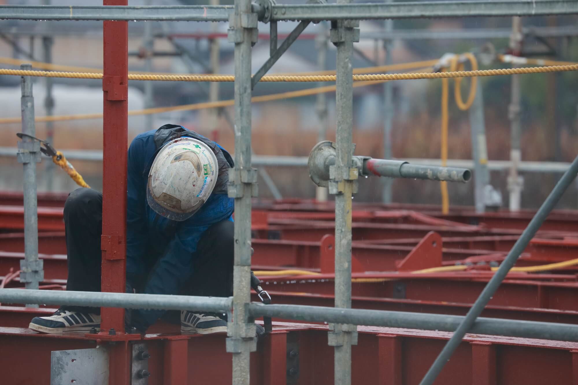 腎臓リンパ腫とともに生きる